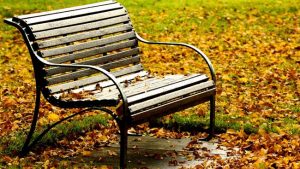 Autumn splash no fun for some