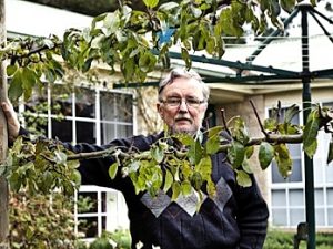 Rolling up for green day