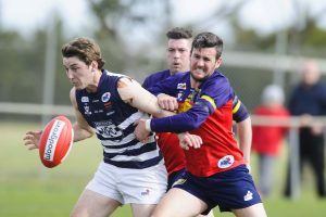 Cats land on their feet