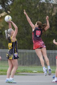 ‘Cubs’ do it for Tigers