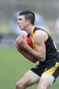 Tigers put up fight, but adios