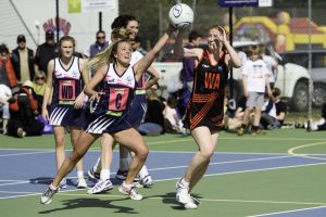 Cool Cats left to yearn for next year’s gold