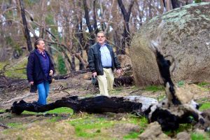 Nature’s healing plain to see