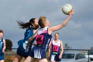 Cats scratch premiers from  the finals