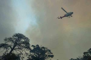 Mild conditions should assist bushfire fight