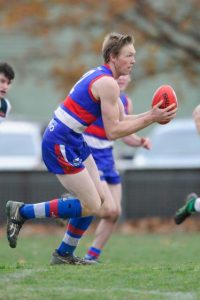 Cats pounce on Dogs trio