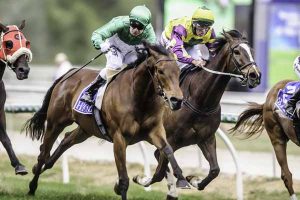 Payne and gain for Kyneton Cup