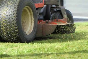 Road work to slash fire risks