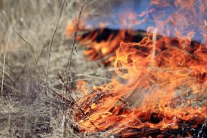 Macedon Ranges police hunt firebug