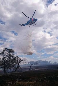 Extra provisions needed for bush fire