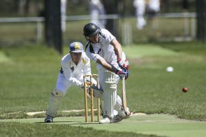 Tigers make a run for the finals