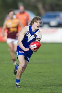 Lions look to the cubs again