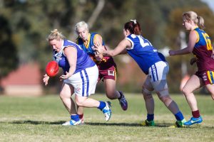 Match ends as cats fight