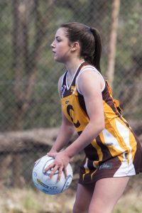 Young Hawks spread their wings as club rebuilds