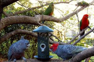 7 things to do: Sunbury/Macedon Ranges