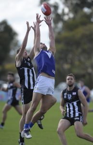 Lions find how tough life is at the top