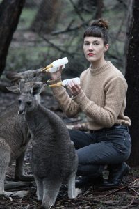 Fence needed to save kangaroos from cull