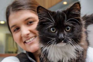 Cool cats in need of some warmth