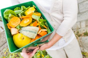 Two free green waste tips not much solution