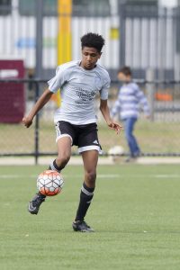 Spring Hills brace for dual promotion bids