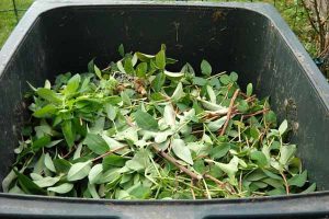 Green waste disposal restrictions lifted