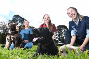 Gisborne pet event takes the lead