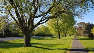 Eco park finish line in sight