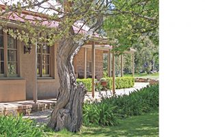 Romancing the stone: 213 Knox Road, Romsey, 3434