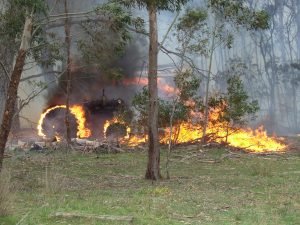 Lancefield fire wood claim