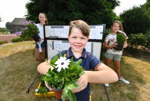 Pot plants to fire fund