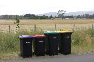 Four bin system for all residents