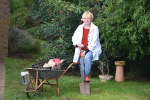 Plant some spring cheer