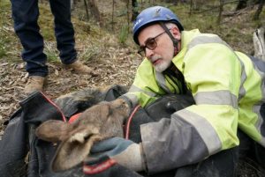 Pit crew recalls rescue