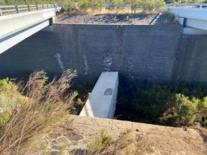 Malmsbury crash witness appeal