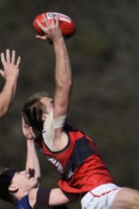 Kangaroos add experience