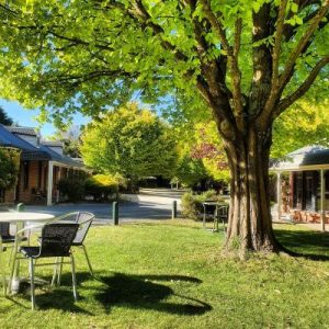 Regional areas reaping returns