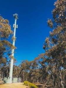 Gisborne tower knocked back