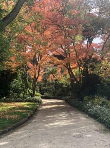 Century-old garden open to public
