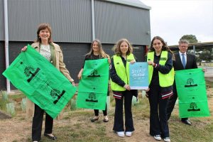 Green schools harness the sun