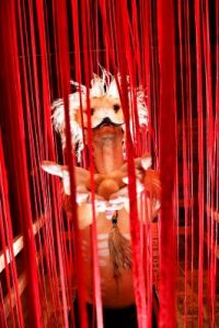 Immerse yourself in art