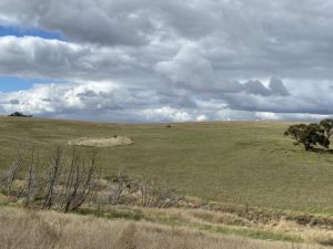 Rare link to Indigenous history