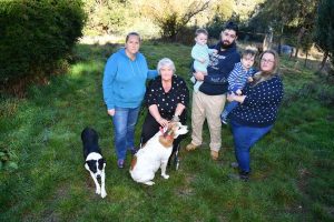 Fears for missing dogs