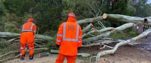 Storms batter Ranges