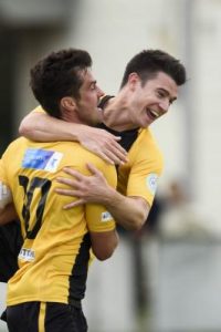 Soccer hub pitched to council