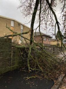 Strong weather warnings and power outages in the Macedon Ranges