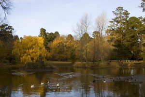 Botanic garden set to bloom