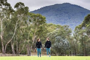 Online focus for Ranges business