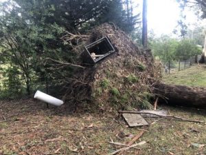 Wait for NBN reconnection