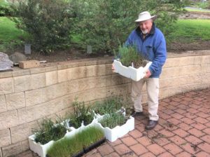Lockdown halts planting day