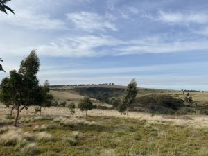 Connection to country